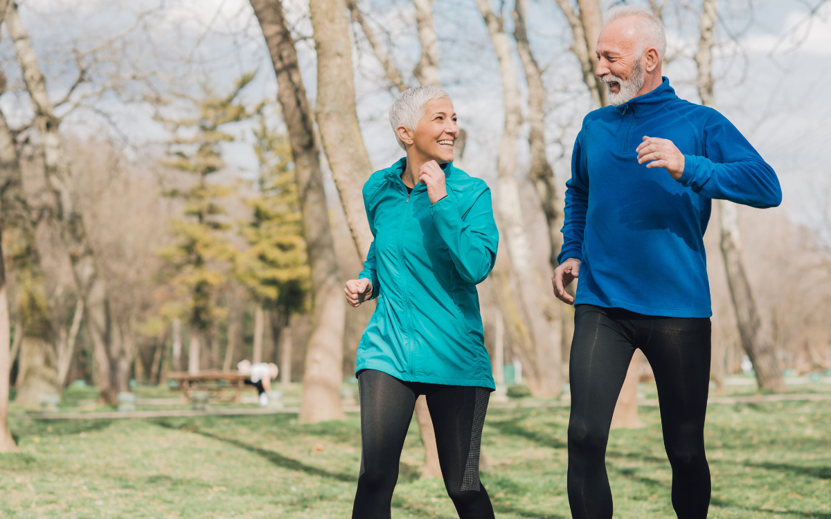 Crafting Effective and Healthy Elderly Daily Routines